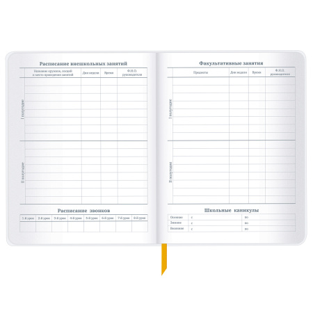 Дневник 1-11 класс 48 л., кожзам (гибкая), печать, фольга, BRAUBERG, "Mountains", 106223 - Дневники универсальные