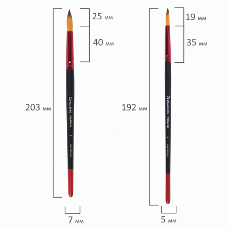 Кисти BRAUBERG PREMIUM, набор 10 шт. (синтетика, круглые № 1, 2, 3, 5, 8, плоские № 2, 4, 6, 8, 10), 201027 - Кисти для рисования