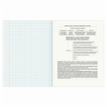 Тетрадь предметная "ANIME" 48 л., глянцевый УФ-лак, ОБЩЕСТВОЗНАНИЕ, клетка, BRAUBERG, 404533 - Тетради предметные