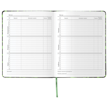 Дневник 1-11 класс 48 л., кожзам (твердая с поролоном), флуоресцентный, BRAUBERG, "ШРИФТ", 105983 - Дневники для старших классов