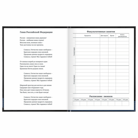 Дневник 1-11 класс 40 л., твердый, BRAUBERG, глянцевая ламинация, "Internet", 106619 - Дневники универсальные