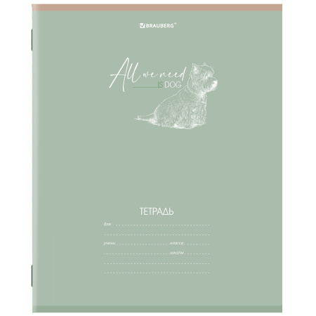 Тетрадь 24 л. BRAUBERG клетка, обложка картон, "PASTEL", 1 шт, 106486 - Тетради 12-24 листов