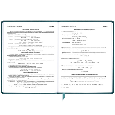 Дневник 1-11 класс 48 л., кожзам (твердая), печать, резинка, конверт, BRAUBERG, "Bright Lion", 106577 - Дневники универсальные