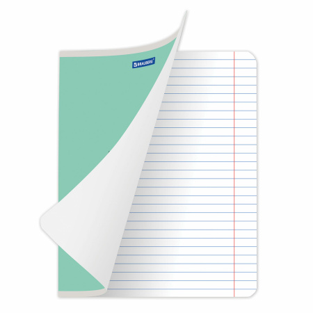 Тетрадь 18 л. BRAUBERG КЛАССИКА NEW линия, обложка картон, ЗЕЛЕНАЯ, 105701 - Тетради 12-24 листов