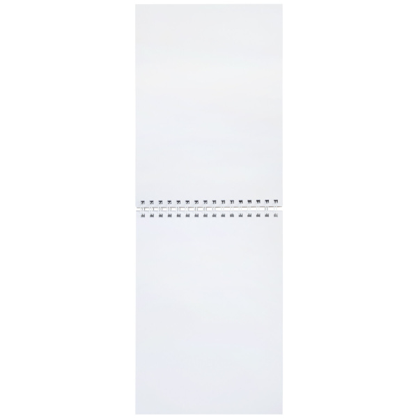 Скетчбук для маркеров, бумага 160 г/м2, 210х297 мм, 50 л., гребень, подложка, BRAUBERG ART CLASSIC, "Неон", 115077 - Альбомы, скетчбуки и бумага для графики и эскизов