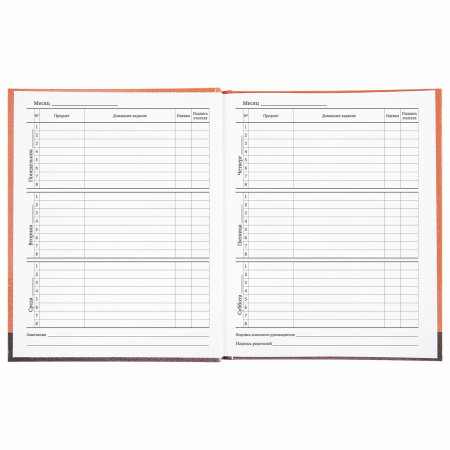 Дневник 1-11 класс 40 л., твердый, BRAUBERG, глянцевая ламинация, "Монстрик", 106383 - Дневники универсальные