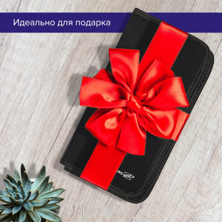 Кисти художественные набор 12 шт. в черном пенале, синтетика, BRAUBERG ART CLASSIC, № 0-14 + веерная, 200966 - Кисти художественные в наборах