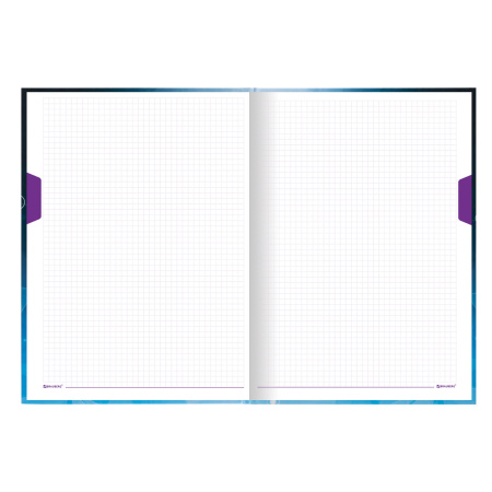 Блокнот БОЛЬШОЙ ФОРМАТ (215х295 мм) А4, 128 л., твердый, клетка, блок 4 цвета, BRAUBERG, "Бизнес", 111593 - Блокноты в книжном переплете