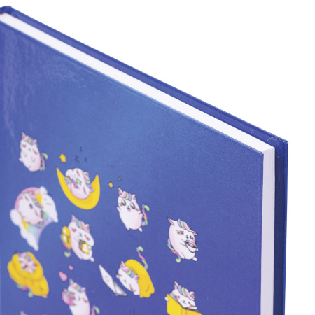 Блокнот А5 (134х206 мм), 80 л., твёрдый, клетка, BRAUBERG KIDS, "Радужные котики", 114417 - Блокноты детские