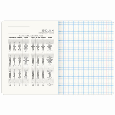 Тетрадь предметная "PASTEL" 48 л., SoftTouch, фольга, АНГЛИЙСКИЙ ЯЗЫК, клетка, BRAUBERG, 404311 - Тетради предметные