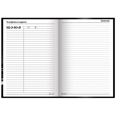 Ежедневник учителя специализированный А5 (215х145 мм), твердая обложка, 144 л., BRAUBERG, "ЯБЛОКО", 129235 - Ежедневники с твердой обложкой