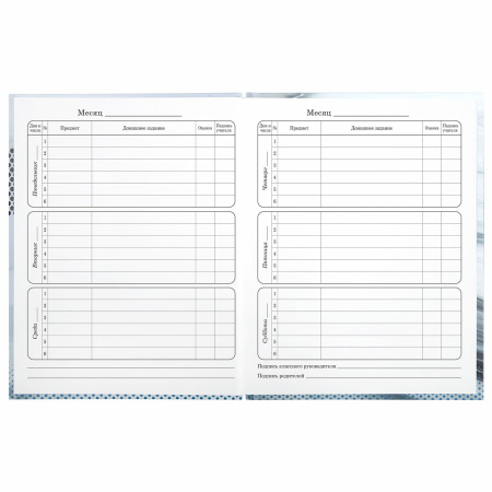 Дневник 1-4 класс 48 л., твердый, BRAUBERG, выборочный лак, с подсказом, "Авто Мечты", 106363 - Дневники для младших классов