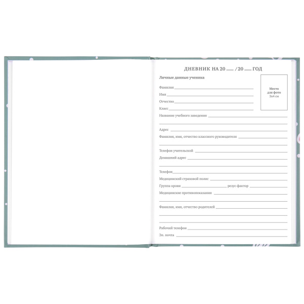 Дневник 5-11 класс 48 л., твердый, BRAUBERG, блестки, с подсказом, "Кактусы", 106420 - Дневники для старших классов