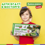Набор для раскопок 12 видов динозавров, карточки, инструменты, развивающий, BRAUBERG KIDS, 664923 - Игрушки развивающие