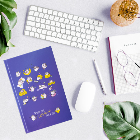 Блокнот А5 (134х206 мм), 80 л., твёрдый, клетка, BRAUBERG KIDS, "Радужные котики", 114417 - Блокноты детские