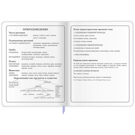 Дневник 1-4 класс 48 л., кожзам (гибкая), печать, фольга, ЮНЛАНДИЯ, "Ёжики", 106217 - Дневники для младших классов