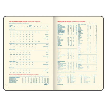 Ежедневник недатированный А5 (148х218 мм), GALANT "Magnetic", кожзам, магнитный клапан, 160 л., коричневый, 111880 - Ежедневники с покрытием "под кожу и ткань"