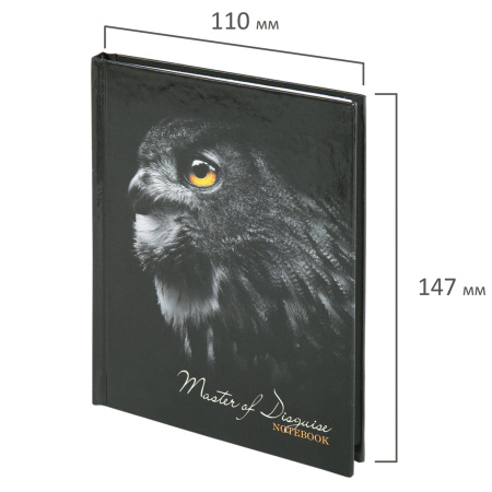 Блокнот МАЛЫЙ ФОРМАТ (110х147 мм), А6, 80 л., твёрдый, клетка, STAFF, "Сова", 114437 - Блокноты в книжном переплете