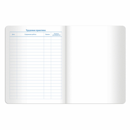 Дневник 1-11 класс 48 л., кожзам (твердая с поролоном), тиснение аппликация, BRAUBERG, "СЛАДОСТИ", 105487 - Дневники универсальные