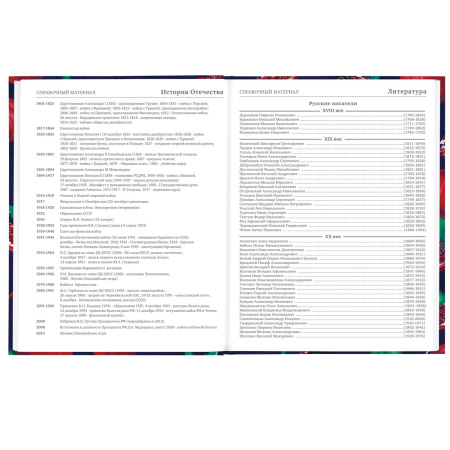 Дневник 5-11 класс 48 л., твердый, BRAUBERG, глянцевая ламинация, с подсказом, "Гранаты", 106621 - Дневники для старших классов
