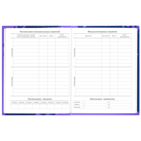 Дневник 5-11 класс 48 л., твердый, BRAUBERG, глянцевая ламинация, с подсказом, "Приставка", 106629 - Дневники для старших классов