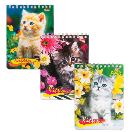 Блокнот МАЛЫЙ ФОРМАТ А6 110х145 мм, 40 л., гребень, лакированная обложка, клетка, HATBER, "Котята", 40Б6B1гр, В12291 - Блокноты