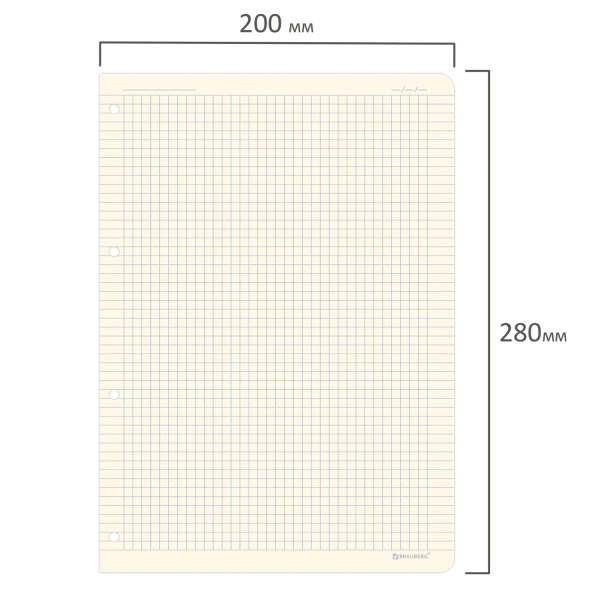 Сменный блок для тетради на кольцах БОЛЬШОЙ ФОРМАТ А4 120 л., BRAUBERG, ПОВЫШЕННОЙ ПЛОТНОСТИ, кремовый, 404517 - Тетради на кольцах и сменные блоки к ним