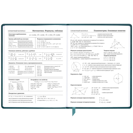 Дневник 1-11 класс 48 л., кожзам (твердая), печать, резинка, конверт, BRAUBERG, "Bright Lion", 106577 - Дневники универсальные