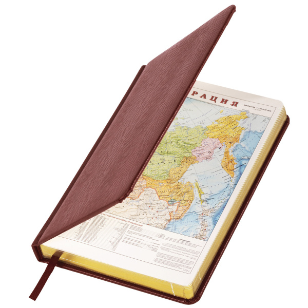 Ежедневник недатированный А5 138х213 мм BRAUBERG "Iguana" под кожу, 160 л., темно-коричневый, 125090 - Ежедневники с покрытием "под кожу и ткань"