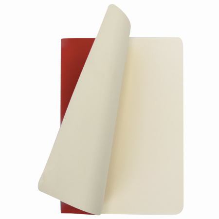 Тетрадь 48 л. в клетку обложка кожзам SoftTouch, сшивка, A5 (147х210мм), КРАСНЫЙ, BRAUBERG RAINBOW, 403877 - Тетради 40-48 листов