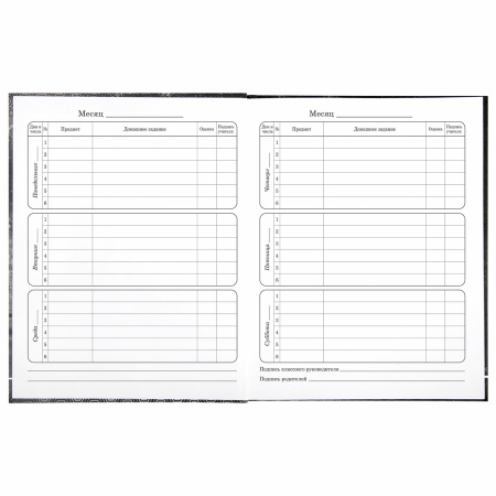 Дневник 1-4 класс 48 л., твердый, BRAUBERG, выборочный лак, с подсказом, "Крутой байк", 106362 - Дневники для младших классов