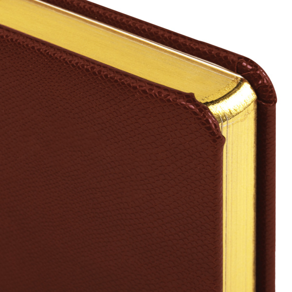 Ежедневник недатированный А5 138х213 мм BRAUBERG "Iguana" под кожу, 160 л., темно-коричневый, 125090 - Ежедневники с покрытием "под кожу и ткань"