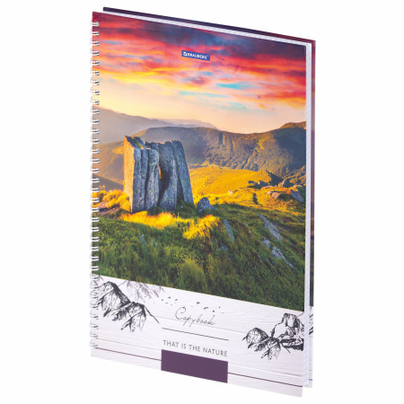 Тетрадь А4, 80 л., BRAUBERG, гребень, клетка, обложка твердая, "Nature", 404054 - Тетради формата А4