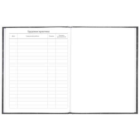 Дневник 5-11 класс 48 л., твердый, BRAUBERG, фольга, с подсказом, "Музыка", 106418 - Дневники для старших классов