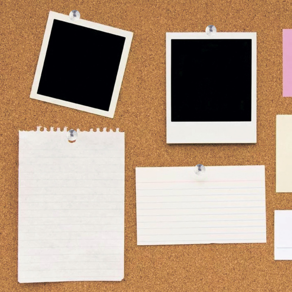 Кнопки канцелярские BRAUBERG, металлические, серебристые, 10 мм, 50 шт., в картонной коробке, 220553 - Кнопки канцелярские