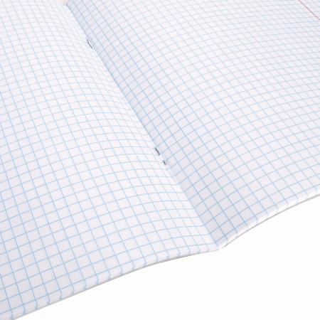 Тетради предметные, КОМПЛЕКТ 10 ПРЕДМЕТОВ, "КЛАССИКА XXI", 48 л., обложка картон, BRAUBERG, 404025 - Тетради предметные