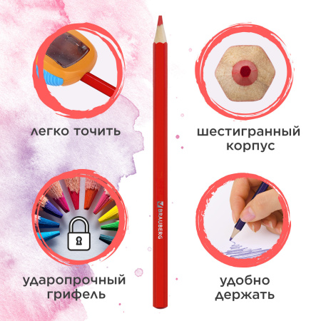 Карандаши цветные акварельные BRAUBERG "АКАДЕМИЯ", 24 цвета, шестигранные,высокое качество, 181400 - Карандаши цветные акварельные