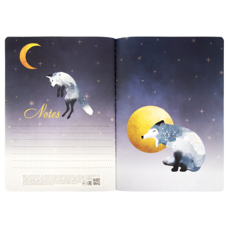 Тетради 60 л. в точку обложка SoftTouch, НАБОР 2 шт., бежевая бумага 70 г/м2, сшивка, B5 (179х250 мм), НОЧЬ, BRAUBERG, 403829 - Тетради более 60 листов