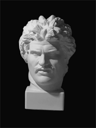 Голова галла 25,5*27*41 (10-174)