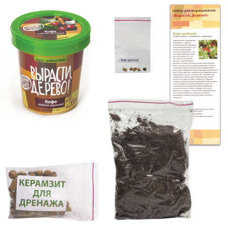 Набор для выращивания растений ВЫРАСТИ ДЕРЕВО! "Кофе арабский карликовый" (банка, грунт, семена), zk-012 - Наборы для выращивания растений