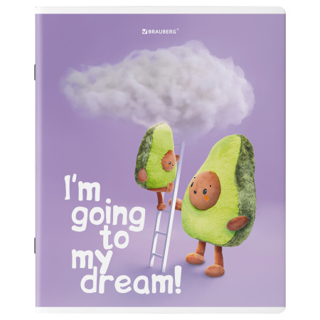 Тетради КОМПЛЕКТ 5 шт., А5, 48 л., BRAUBERG скоба, клетка, глянцевый лак, "Плюшевые Авокадо", 404392 - Тетради 40-48 листов