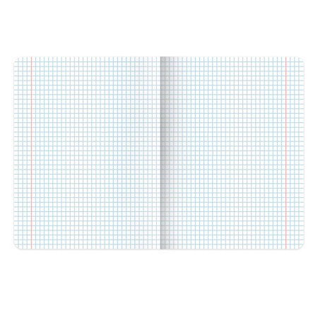 Тетради предметные, КОМПЛЕКТ 12 ПРЕДМЕТОВ, "КОТ-ЭНТУЗИАСТ", 48 л., TWIN-лак, BRAUBERG, 404609 - Тетради предметные