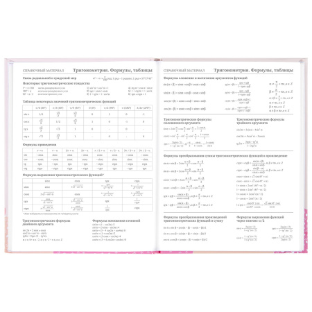 Дневник 5-11 класс 48 л., твердый, BRAUBERG, глянцевая ламинация, с подсказом, "Летний", 106631 - Дневники для старших классов