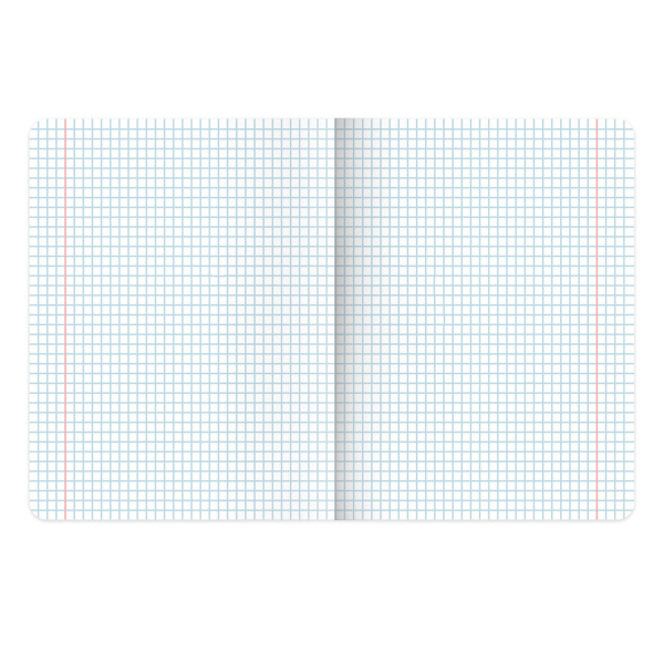 Тетради предметные, КОМПЛЕКТ 12 ПРЕДМЕТОВ, "КОТ-ЭНТУЗИАСТ", 48 л., TWIN-лак, BRAUBERG, 404609 - Тетради предметные