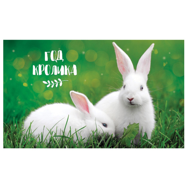 Календарь квартальный с бегунком 2023 г., 3 блока, 4 гребня, УльтраЛюкс, "Год Кролика", HATBER, 3Кв4гр2ц_27154 - Календари настенные