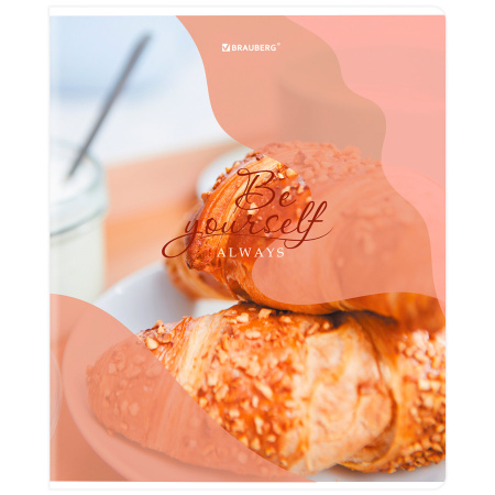 Тетрадь А5, 48 л., BRAUBERG, скоба, клетка, матовая ламинация, выборочный лак, "Sweets" (микс в спайке), 404373 - Тетради 40-48 листов
