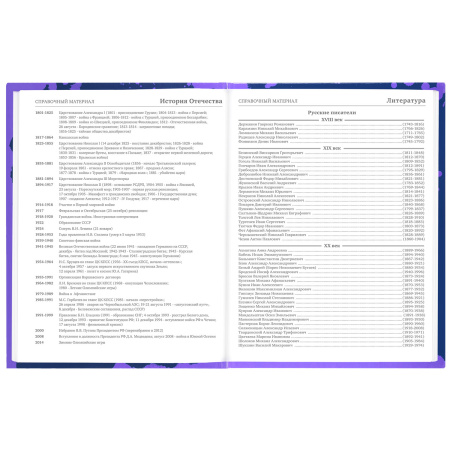 Дневник 5-11 класс 48 л., твердый, BRAUBERG, глянцевая ламинация, с подсказом, "Приставка", 106629 - Дневники для старших классов