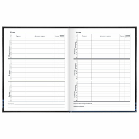 Дневник 1-11 класс 40 л., твердый, BRAUBERG, глянцевая ламинация, "Internet", 106619 - Дневники универсальные