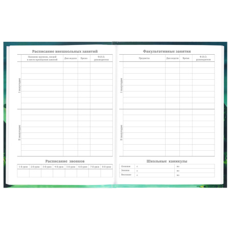 Дневник 5-11 класс 48 л., твердый, BRAUBERG, глянцевая ламинация, с подсказом, "Мир Будущего", 106627 - Дневники для старших классов
