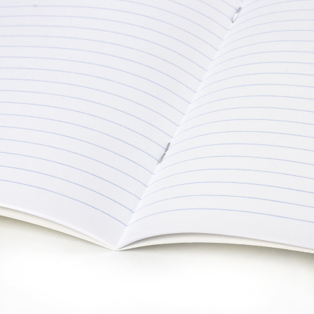 Тетрадь 12 л. BRAUBERG КЛАССИКА, линия, обложка картон, ЗЕЛЕНАЯ, 1 шт, 104726 - Тетради 12-24 листов